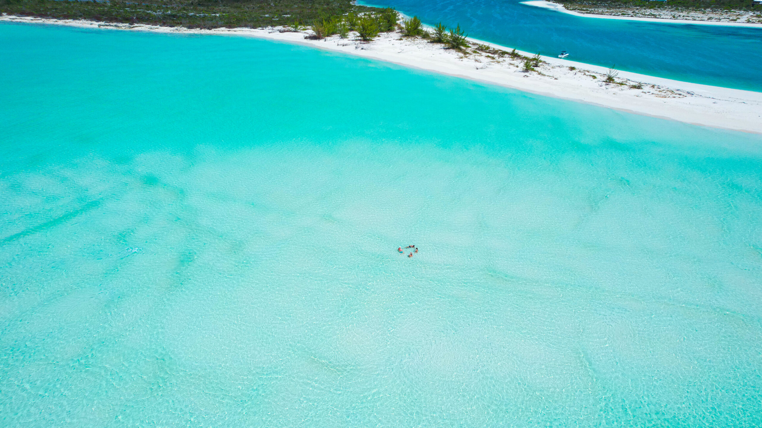 Guests in bright blue Turks and Caicos water during a private boat charter