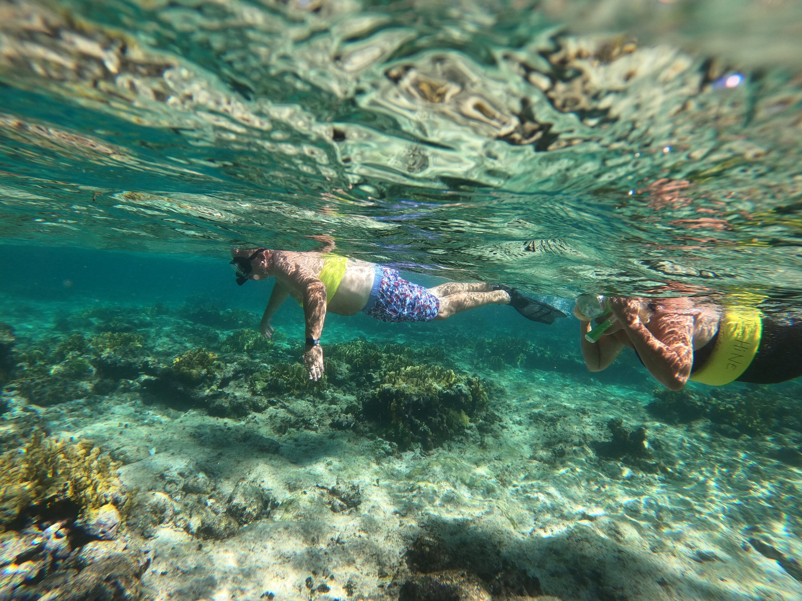 Private snorkeling tour at a Providenciales reef