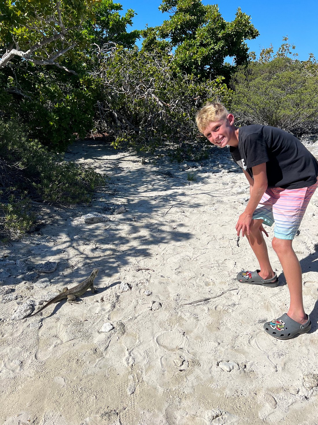 Iguana Island & Half Moon Bay – Rock Iguanas and shallow lagoon in Turks and Caicos