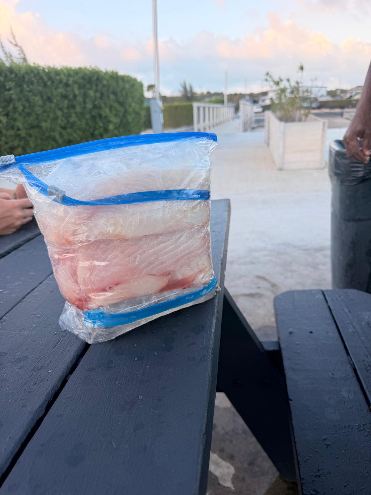 Fresh fish cleaned and bagged for guests after a Turks and Caicos fishing charter