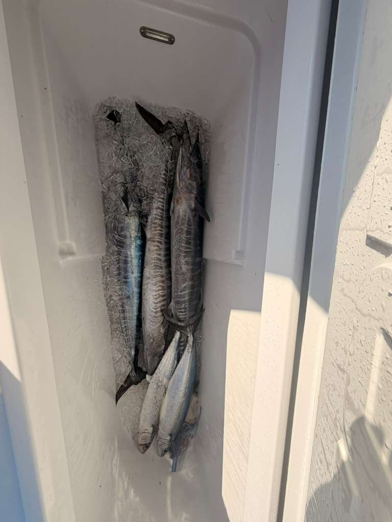 Couple holding wahoo caught while deep-sea fishing in Turks and Caicos